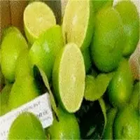 Seedless Lemon